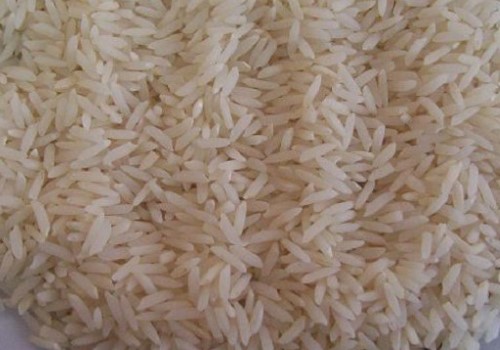 فروش برنج محلی شمالی + قیمت خرید به صرفه